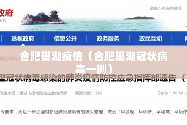 合肥巢湖疫情（合肥巢湖冠状病毒一例）