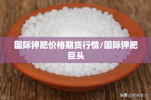 国际钾肥价格期货行情/国际钾肥巨头
