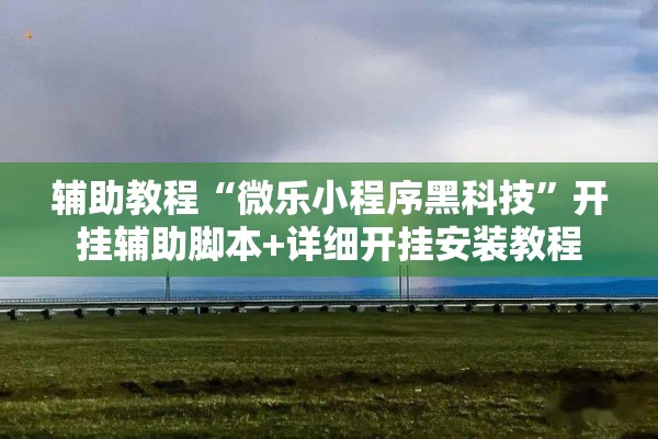 辅助教程“微乐小程序黑科技”开挂辅助脚本+详细开挂安装教程