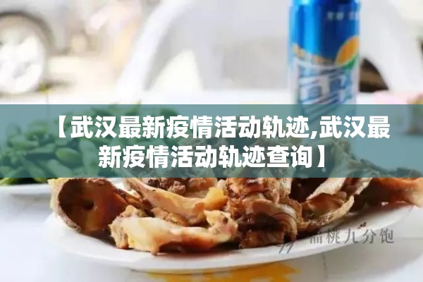 【武汉最新疫情活动轨迹,武汉最新疫情活动轨迹查询】
