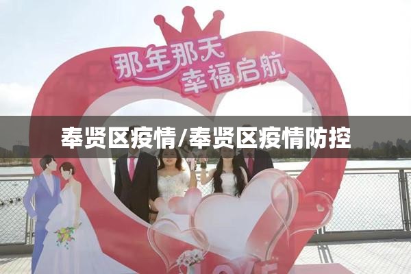 奉贤区疫情/奉贤区疫情防控