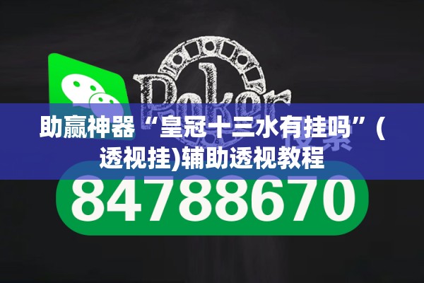 助赢神器“皇冠十三水有挂吗”(透视挂)辅助透视教程