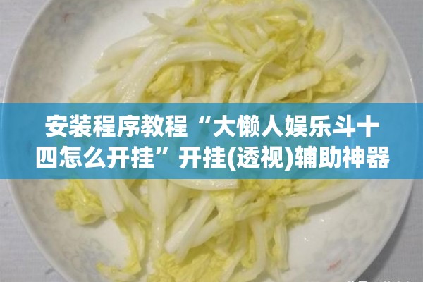 安装程序教程“大懒人娱乐斗十四怎么开挂	”开挂(透视)辅助神器