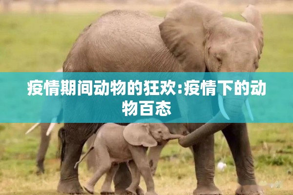 疫情期间动物的狂欢:疫情下的动物百态 疫情期间动物的狂欢:疫情下的动物百态