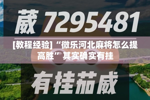 [教程经验]“微乐河北麻将怎么提高胜	”其实确实有挂