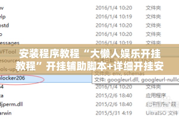 安装程序教程“大懒人娱乐开挂教程”开挂辅助脚本+详细开挂安装教程