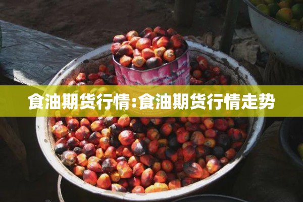 食油期货行情:食油期货行情走势