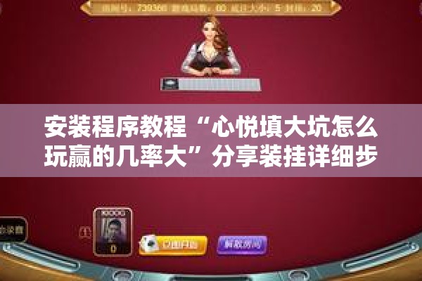安装程序教程“心悦填大坑怎么玩赢的几率大”分享装挂详细步骤