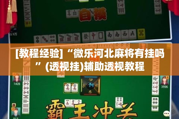 [教程经验]“微乐河北麻将有挂吗”(透视挂)辅助透视教程