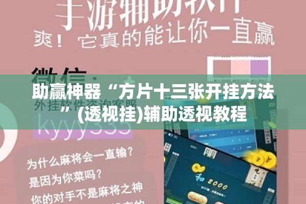 助赢神器“方片十三张开挂方法”(透视挂)辅助透视教程