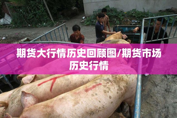 期货大行情历史回顾图/期货市场历史行情