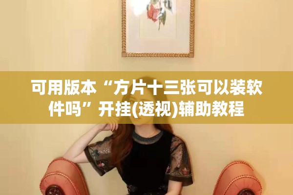 可用版本“方片十三张可以装软件吗”开挂(透视)辅助教程