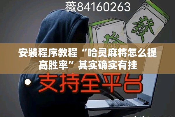 安装程序教程“哈灵麻将怎么提高胜率”其实确实有挂