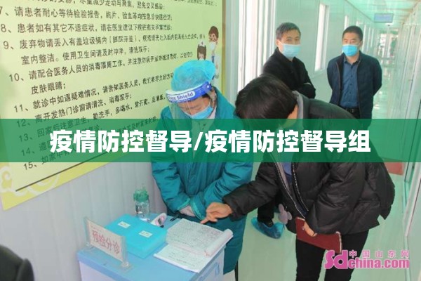 疫情防控督导/疫情防控督导组 疫情防控督导/疫情防控督导组