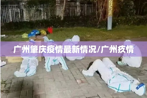 广州肇庆疫情最新情况/广州疚情