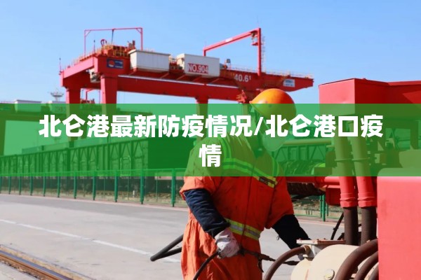 北仑港最新防疫情况/北仑港口疫情 北仑港最新防疫情况/北仑港口疫情