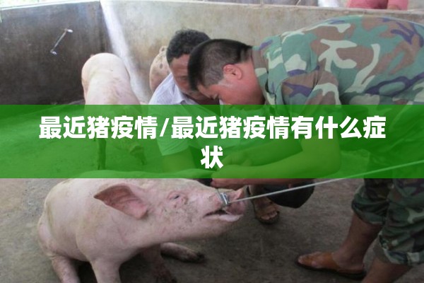 最近猪疫情/最近猪疫情有什么症状 最近猪疫情/最近猪疫情有什么症状