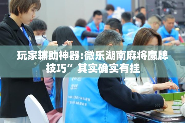 玩家辅助神器:微乐湖南麻将赢牌技巧”其实确实有挂