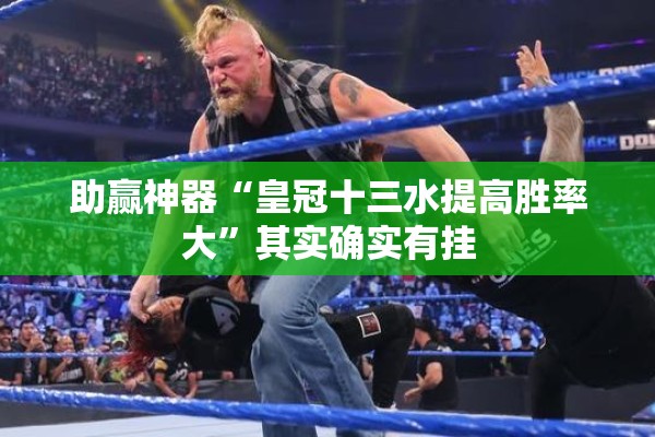 助赢神器“皇冠十三水提高胜率大”其实确实有挂