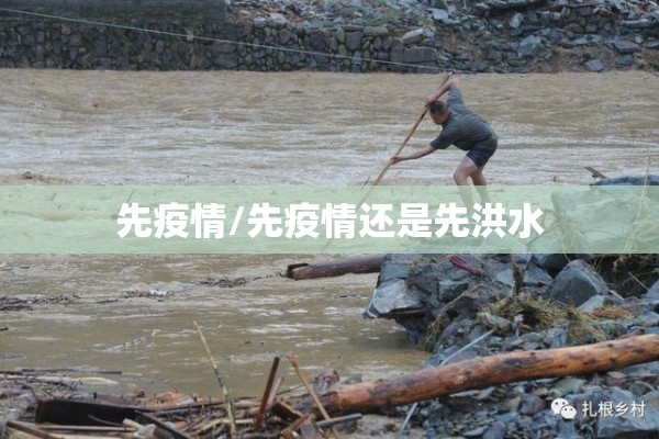 先疫情/先疫情还是先洪水 先疫情/先疫情还是先洪水