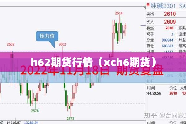 h62期货行情(xch6期货) h62期货行情(xch6期货)