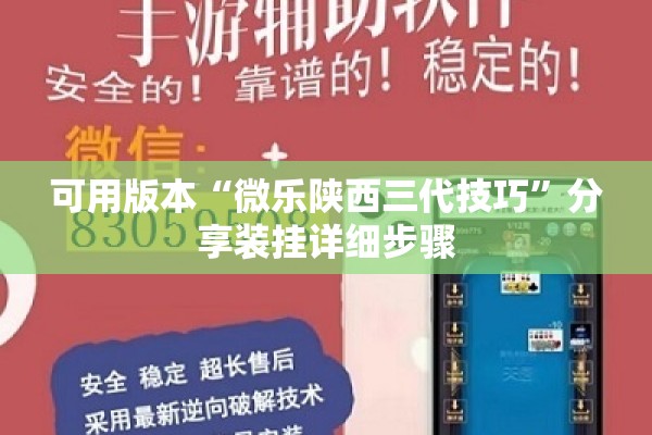 可用版本“微乐陕西三代技巧”分享装挂详细步骤