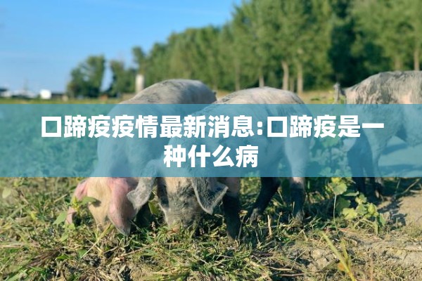 口蹄疫疫情最新消息:口蹄疫是一种什么病 口蹄疫疫情最新消息:口蹄疫是一种什么病