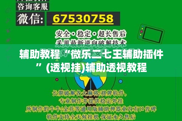 辅助教程“微乐二七王辅助插件”(透视挂)辅助透视教程