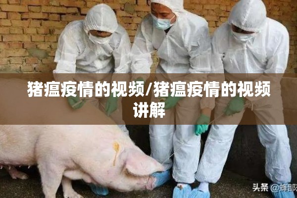 猪瘟疫情的视频/猪瘟疫情的视频讲解 猪瘟疫情的视频/猪瘟疫情的视频讲解