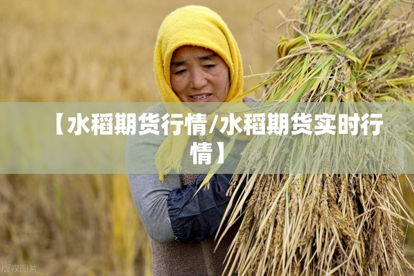 【水稻期货行情/水稻期货实时行情】