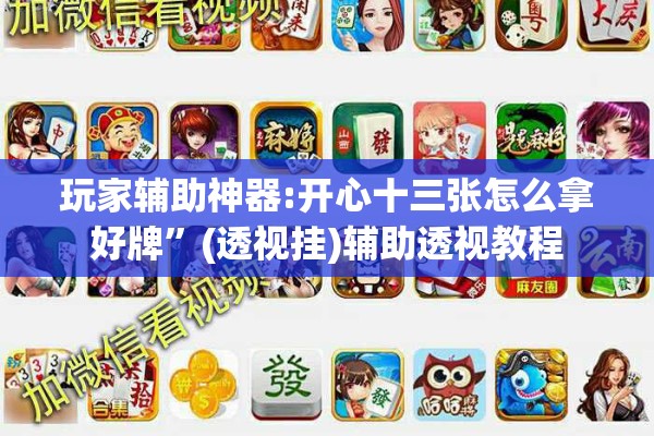 玩家辅助神器:开心十三张怎么拿好牌	”(透视挂)辅助透视教程