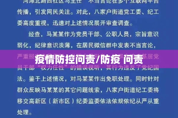 疫情防控问责/防疫 问责 疫情防控问责/防疫 问责