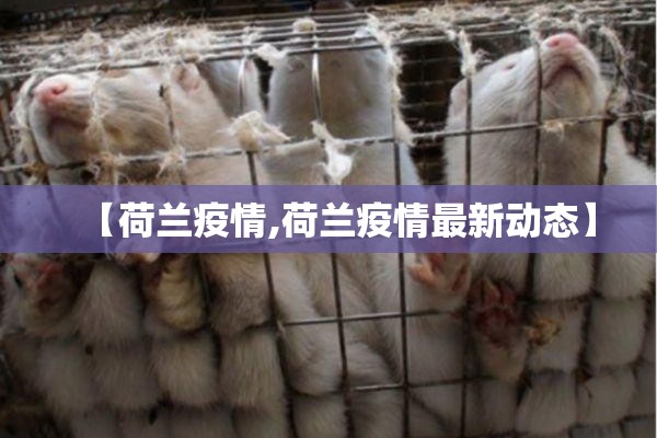【荷兰疫情,荷兰疫情最新动态】 【荷兰疫情,荷兰疫情最新动态】