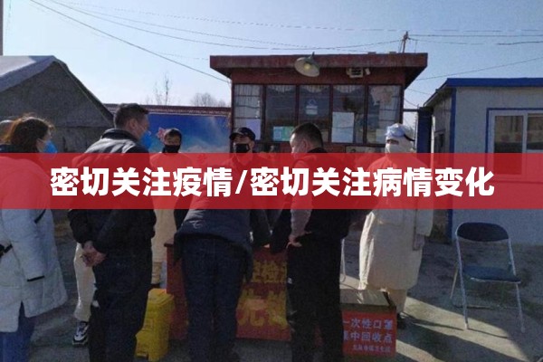 密切关注疫情/密切关注病情变化