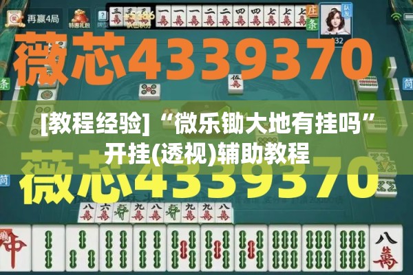 [教程经验]“微乐锄大地有挂吗”开挂(透视)辅助教程