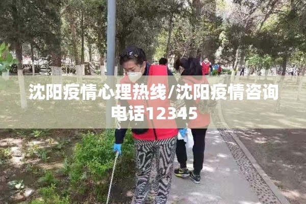 沈阳疫情心理热线/沈阳疫情咨询电话12345 沈阳疫情心理热线/沈阳疫情咨询电话12345