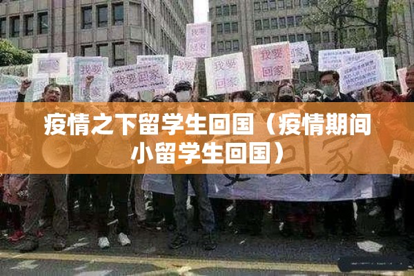 疫情之下留学生回国(疫情期间小留学生回国) 疫情之下留学生回国(疫情期间小留学生回国)