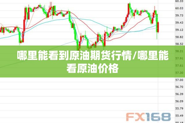 哪里能看到原油期货行情/哪里能看原油价格 哪里能看到原油期货行情/哪里能看原油价格
