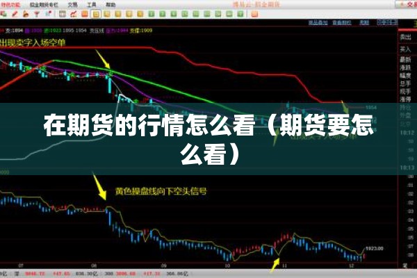 在期货的行情怎么看(期货要怎么看) 在期货的行情怎么看(期货要怎么看)