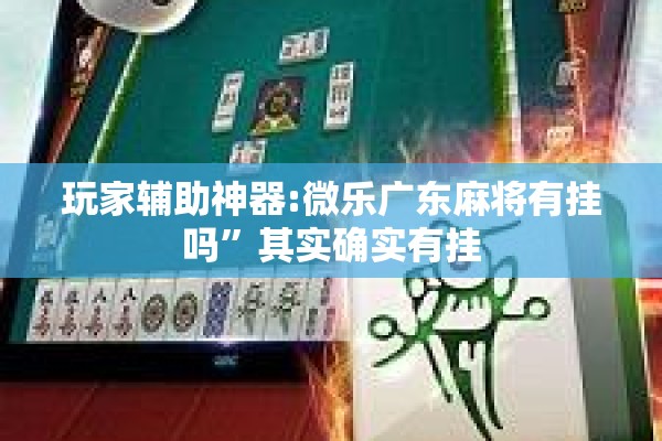 玩家辅助神器:微乐广东麻将有挂吗”其实确实有挂