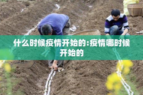 什么时候疫情开始的:疫情哪时候开始的