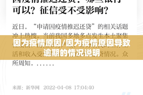 因为疫情原因/因为疫情原因导致逾期的情况说明