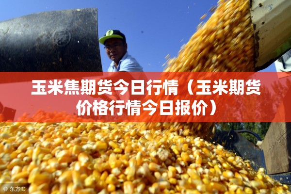 玉米焦期货今日行情(玉米期货价格行情今日报价) 玉米焦期货今日行情(玉米期货价格行情今日报价)