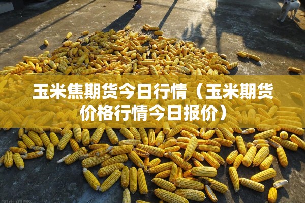 玉米焦期货今日行情(玉米期货价格行情今日报价) 玉米焦期货今日行情(玉米期货价格行情今日报价)