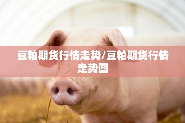 豆粕期货行情走势/豆粕期货行情走势图 豆粕期货行情走势/豆粕期货行情走势图