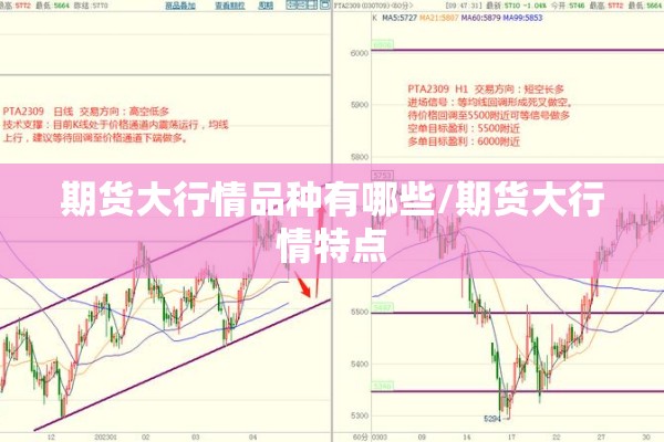 期货大行情品种有哪些/期货大行情特点 期货大行情品种有哪些/期货大行情特点