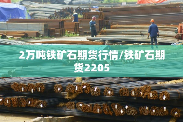 2万吨铁矿石期货行情/铁矿石期货2205 2万吨铁矿石期货行情/铁矿石期货2205