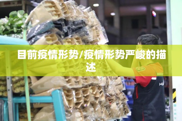 目前疫情形势/疫情形势严峻的描述 目前疫情形势/疫情形势严峻的描述