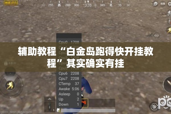 辅助教程“白金岛跑得快开挂教程	”其实确实有挂