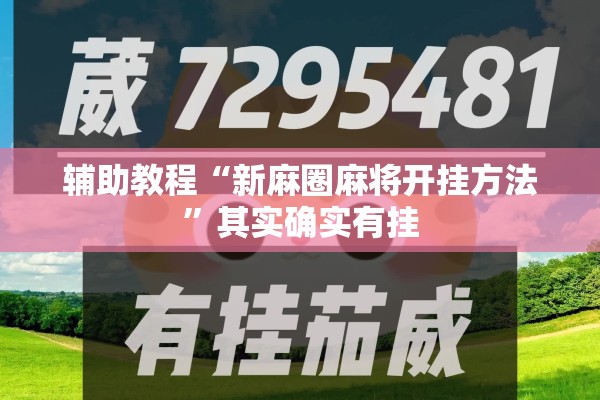 辅助教程“新麻圈麻将开挂方法	”其实确实有挂